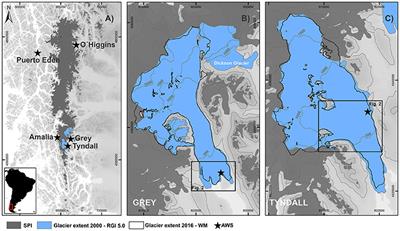 Glacier Mass Changes of Lake-Terminating Grey and Tyndall Glaciers at the Southern Patagonia Icefield Derived From Geodetic Observations and Energy and Mass Balance Modeling